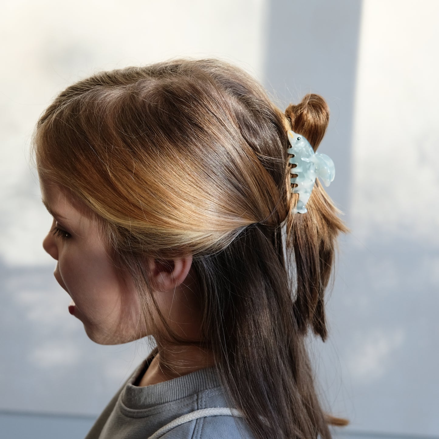 Dolphin Claw Clips