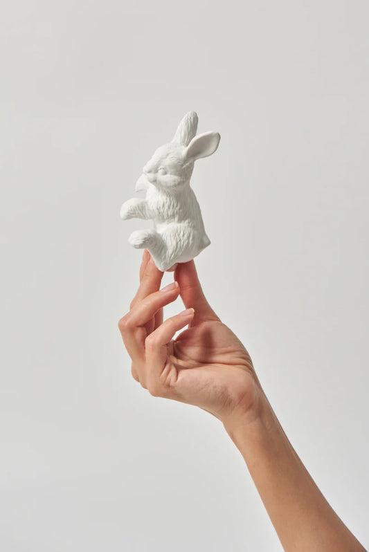 Flopsy Rabbit Hanger