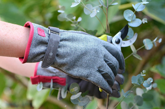 Ultra-soft feel ladies' gardening glove in hard-wearing fabric that doesn't stiffen after drying. 2-way stretch mesh between fingers regulates hand temperature and improves dexterity. Elastine rich backs enhance fit and dexterity. Wrist strap provides snug fit and stops debris dropping into glove. Padded palm gives extra cushioning.   Available in 2 sizes - S/M (6.5 - 7)